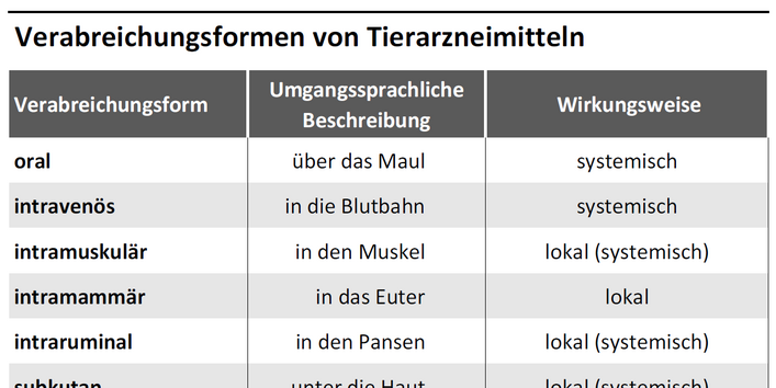 Tabelle listet Verabreichungsformen, deren umgangssprachliche Beschreibung und Wirkungsweise auf.