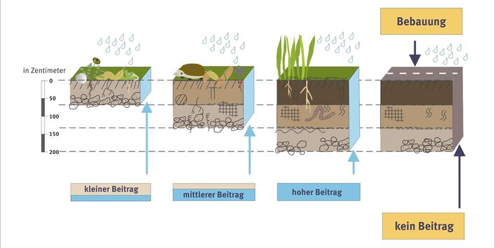 Schema Boden als Wasserspeicher