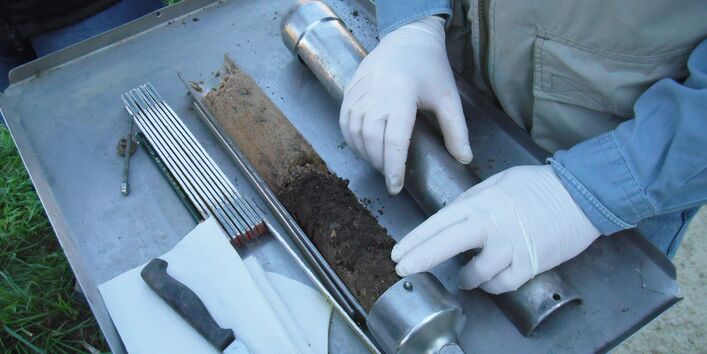 Entnahme einer Bodenprobe im Wald.