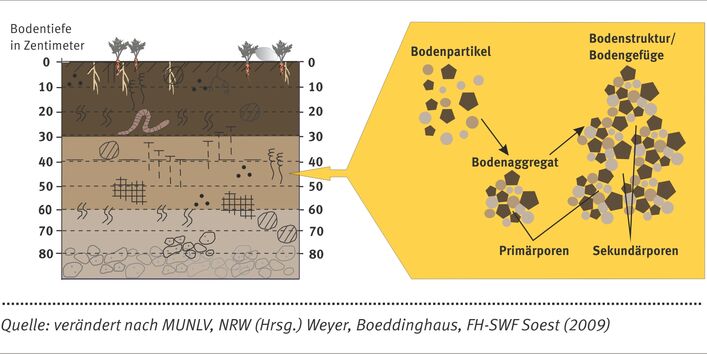 Chart showing the structural state of soil.