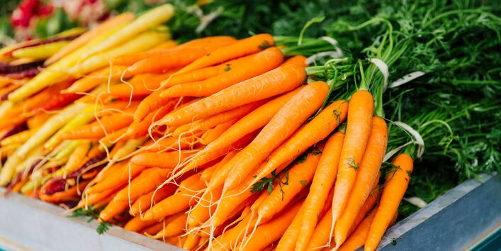 kerzengerade Möhren mit frischem Blattgrün liegen in Bündeln gestapelt zum Verkauf