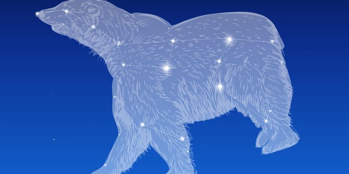 Das Sternbild des großen Bären