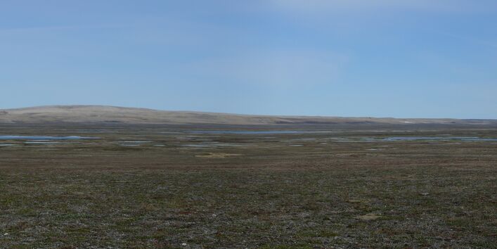 Hügelige feuchte Landschaft vor blauem Himmel