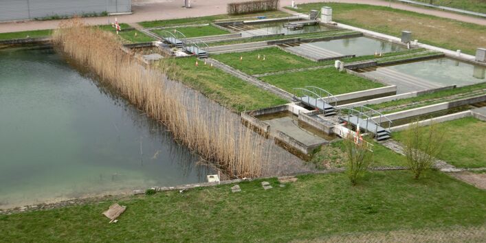 Ein größerer Teich und mehrere kleine Becken, dahinter ein Parkplatz und Gebäude
