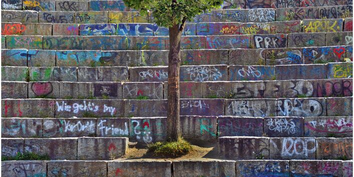 Auf einer mit Graffiti bemalten Betontreppe fehlt eine Stufe, den Platz füllt nun ein Laubbaum