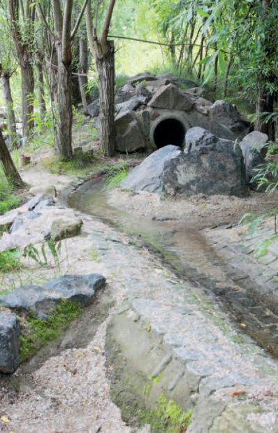 In Dresden hat das Sachgebiet für Gewässer- und Bodenpflege ein Projekt zur Verbesserung des Hochwasserschutzes durchgeführt. Naturnahe Rückhaltemulden und ein neues Rückhaltebecken verringern Überschwemmungen durch Hochwasser und drosseln den Abfluss.