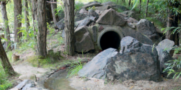 In Dresden hat das Sachgebiet für Gewässer- und Bodenpflege ein Projekt zur Verbesserung des Hochwasserschutzes durchgeführt. Naturnahe Rückhaltemulden und ein neues Rückhaltebecken verringern Überschwemmungen durch Hochwasser und drosseln den Abfluss.