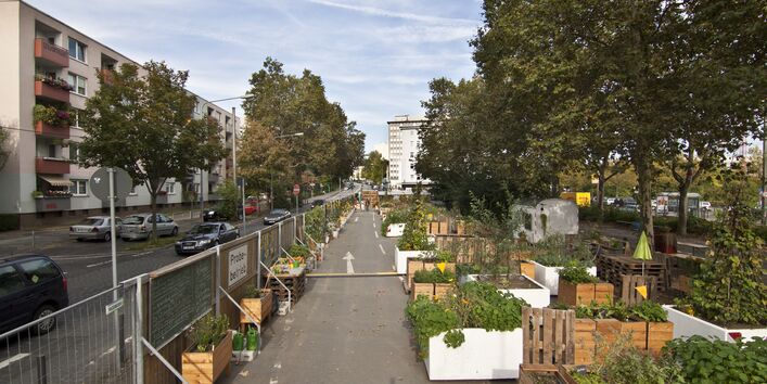 Eine ehemalige Straße wird von Anwohnern als Garten genutzt. Es stehen dort mehrere Holzkisten mit Gemüse und Pflanzen. 
