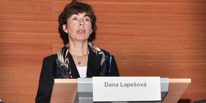 20 Years Focal Point Basel - Dana Lapesova