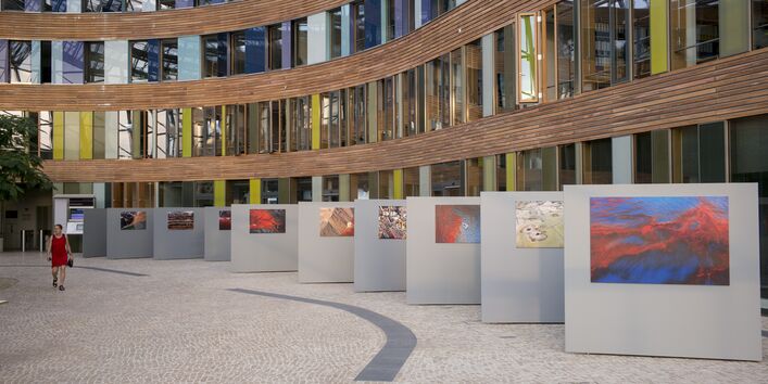 Dokumente des Raubbaus an der Natur: Wo andere wegsehen, schaut J Henry Fair genauer hin