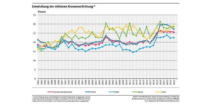 Das Diagramm zeigt die mittlere Kronenverlichtung für die vier Hauptbaumarten Fichte, Kiefer, Buche und Eiche) in den deutschen Wäldern sowie für die Kategorie „Gesamt/alle Baumarten“, die neben diesen auch andere Laub- und Nadelbaumarten erfasst.