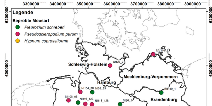 Die Karte zeigt die Standorte mit Analysen zu Schwermetall- und Stickstoff im MM2020/2021.