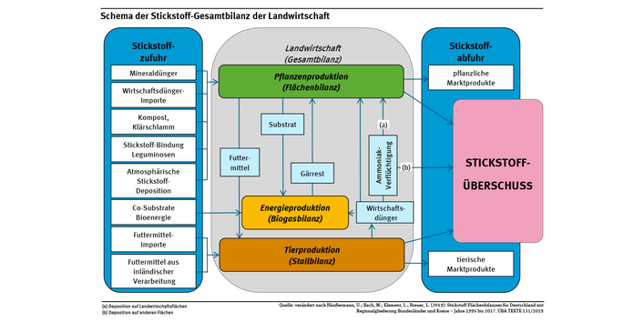 Das Schaubild zeigt eine Darstellung der Stickstoffflüsse in die Landwirtschaft sowie aus der Landwirtschaft hinaus – als Überschüsse, die in die Umwelt gehen und als Abfuhr über landwirtschaftliche Produkte.