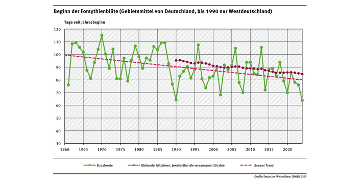 Das Liniendiagramm zeigt den Zeitpunkt des Blühbeginns bei Forsythien (Tage ab Jahresbeginn, Gebietsmittel für Deutschland) seit 1961. Der lineare Trend zeigt, dass sich der Zeitpunkt tendenziell in Richtung Jahresbeginn verschoben hat.