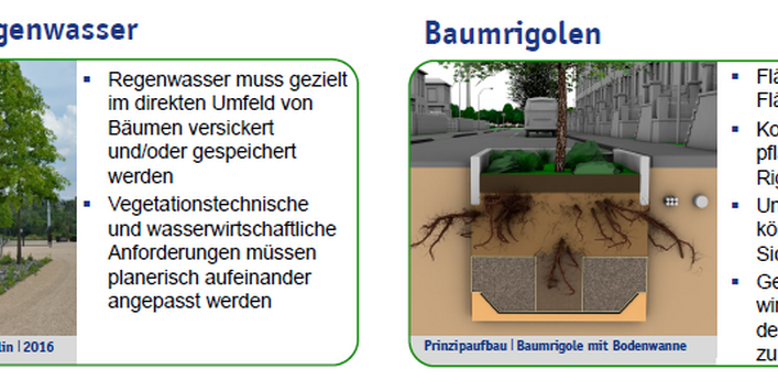 Poster zur Thematik Schwammstadt