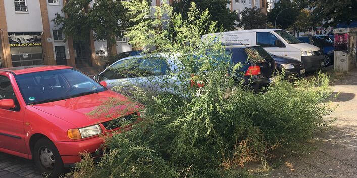 Bildcollage, parkende Autos