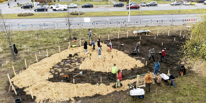 Das Bild zeigt eine Fläche, auf der die Pflanzung eines Tiny Forest begonnen wurde. Der Boden ist bereits aufgewühlt und ein kleiner Zaun ist um die Fläche gespannt.