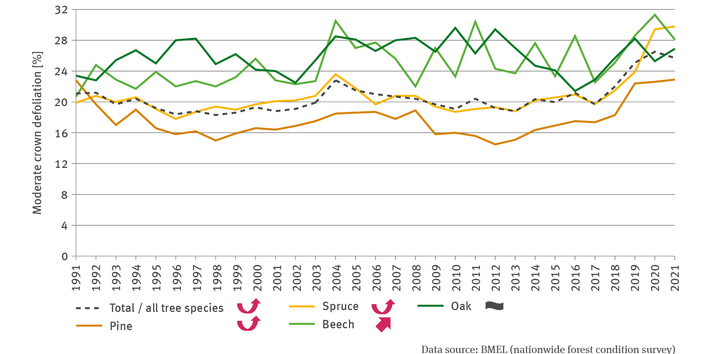 The line chart FW-I-3 ’Forest condition’ indicates – differentiated by the tree species of spruce, oak, pine and beech and all tree species combined – the crown defoliation mean in per cent for the period of 1991 to 2021. The time series for beech and oak indicate a more fluctuating progress than the time series for pine and spruce. 