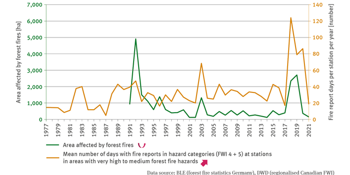 The line chart FW-I-8 ‘Forest fire hazards and forest fires’ contains two lines which indicate the development of terrain affected by forest fires in hectares and the mean number of days with fire reports in hazard categories (FWI 4 + 5) at stations in areas with very high to medium forest fire hazards. The terrain affected by forest fires suffered several distinct peaks in the period of 1991 to 2021. In 1992 the affected terrain comprised just under 5,000 hectares. 
