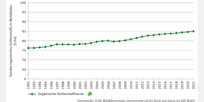 Die Abbildung zeigt für den Zeitraum von 1992 bis 2021 in Form eines Liniendiagramms die jährlichen Vorräte organischen Kohlenstoffs in Waldböden in Tonnen pro Hektar. Im Betrachtungszeitraum haben die Kohlenstoffvorräte kontinuerlich und signifikant von rund 75 Tonnen pro Hektar auf 85 Tonnen pro Hektar zugenommen,
