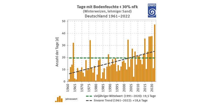 Die Grafik zeigt die Entwicklung der Trockentage für Winterweizen auf lehmigem Sand von 1961 bis 2022. Lehmiger Sand hat im Durchschnitt 19,5 Trockentage (1991–2020), mit einem stärkeren Anstieg als sandiger Lehm. Das Jahr 2022 fällt mit über 40 Trockentagen besonders auf.