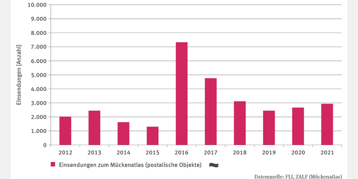 Das Säulendiagramm GE-R-4 "Einsendungen zum Mückenatlas" zeigt die jährliche Anzahl der postalischen Einsendungen zum Mückenatlas ab 2012. Im Jahr 2016 war die Anzahl der Einsendungen mit über 7.000 Einsendungen besonders hoch, war anschließend rückläufig und stieg seit 2019 von damals etwa 2.500 auf zuletzt knapp 3.000 Einsendungen im Jahr 2021. Ein signifkanter Trend liegt nicht vor.