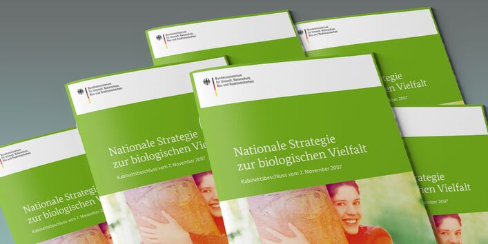 Das Bild zeigt einen Stapel Broschüren mit dem Titel "Nationale Strategie zur biologischen Vielfalt".
