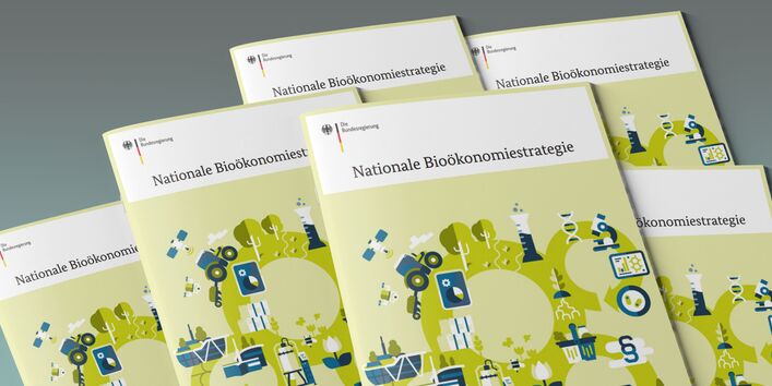 Das Bild zeigt einen Stapel Broschüren mit dem Titel "Nationale Bioökonomiestrategie".