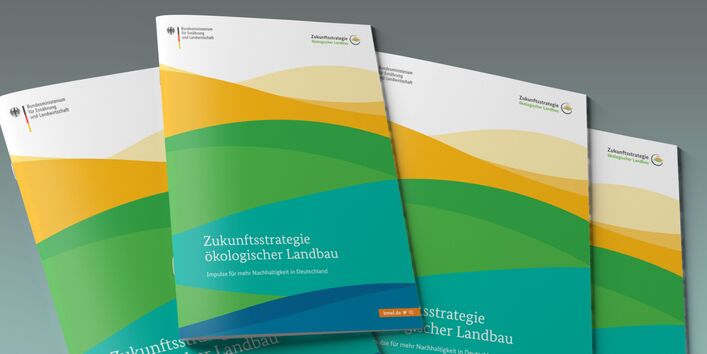 Das Bild zeigt einen Stapel Broschüren mit dem Titel "Zukunftsstrategie ökologischer Landbau".