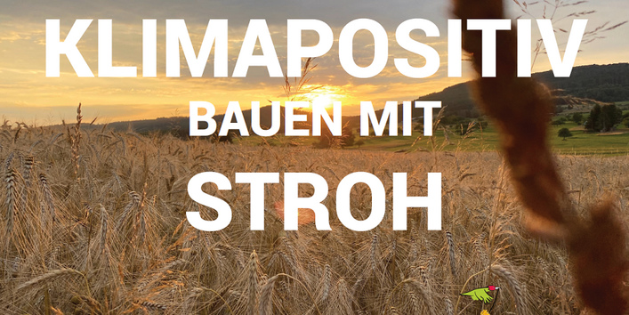 Poster zur Thematik Schwammstadt