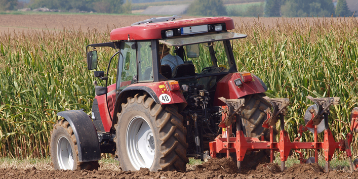 Die Braunerde. Eine von vielen starken Bodentypen