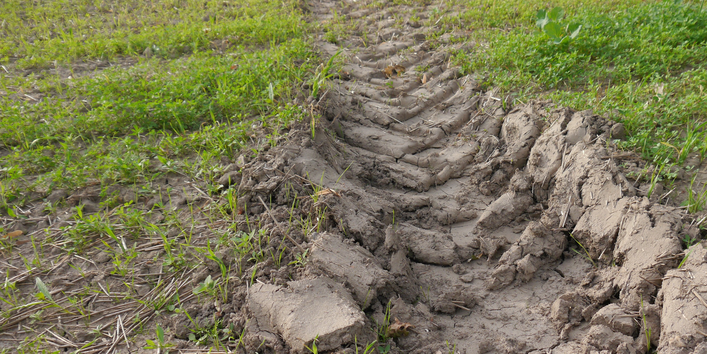 Ist der Boden zu feucht oder gar nass sinkt die Tragfähigkeit und die Gefahr der Verdichtung steigt.
