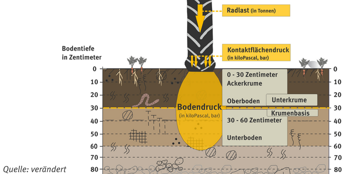 Schaubild zu den Ursachen von Bodendruck