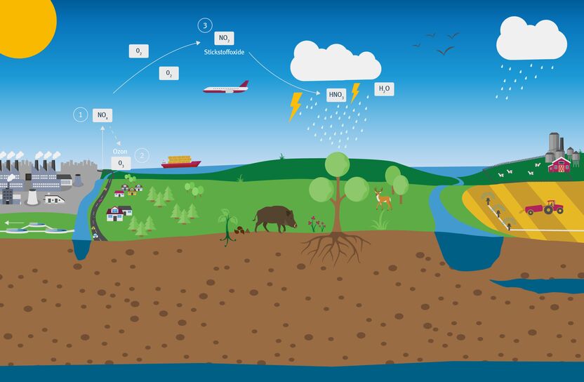 Grafikdarstellung eines Stickstoffkreislaufs in einer Natur- und Industrielandschaft