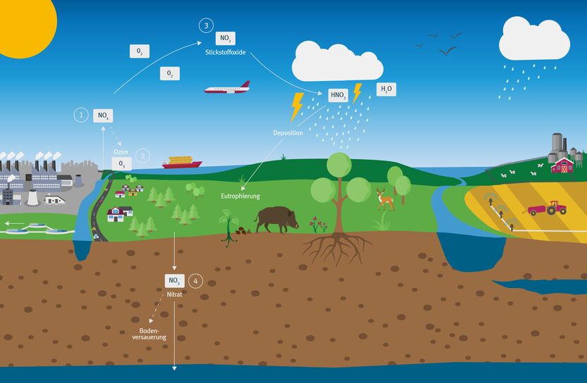 Grafikdarstellung eines Stickstoffkreislaufs in einer Natur- und Industrielandschaft