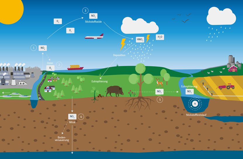 Grafikdarstellung eines Stickstoffkreislaufs in einer Natur- und Industrielandschaft