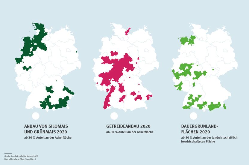 Die Infografik zeigt die Anbaufläche von Silo- und Grünmais, von Getreide, sowie die Dauergrünlandfläche in Deutschland 2020