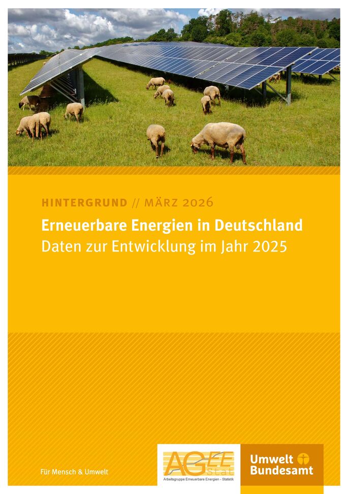 Schafe zwischen Photovoltaikanlagen auf einer Wiese