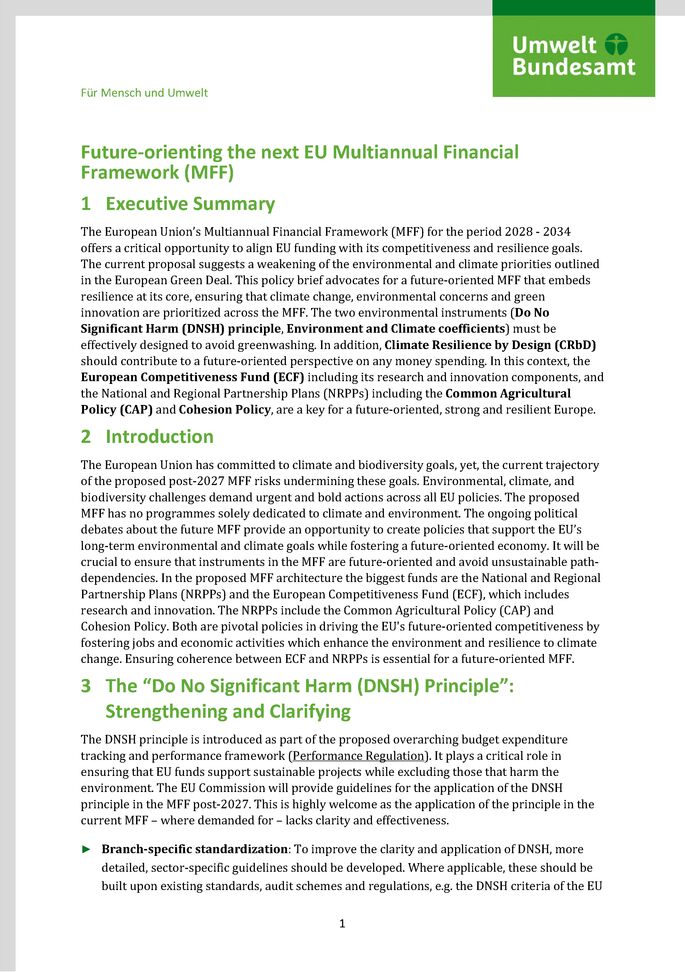 Cover des Factsheets "Future-orienting the next EU Multiannual Financial Framework (MFF)" 