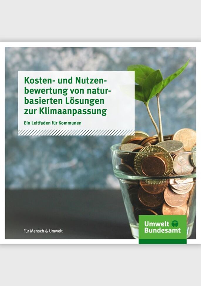 Glas mit Geldmünzen gefüllt. Eine Pflanze wächst daraus.