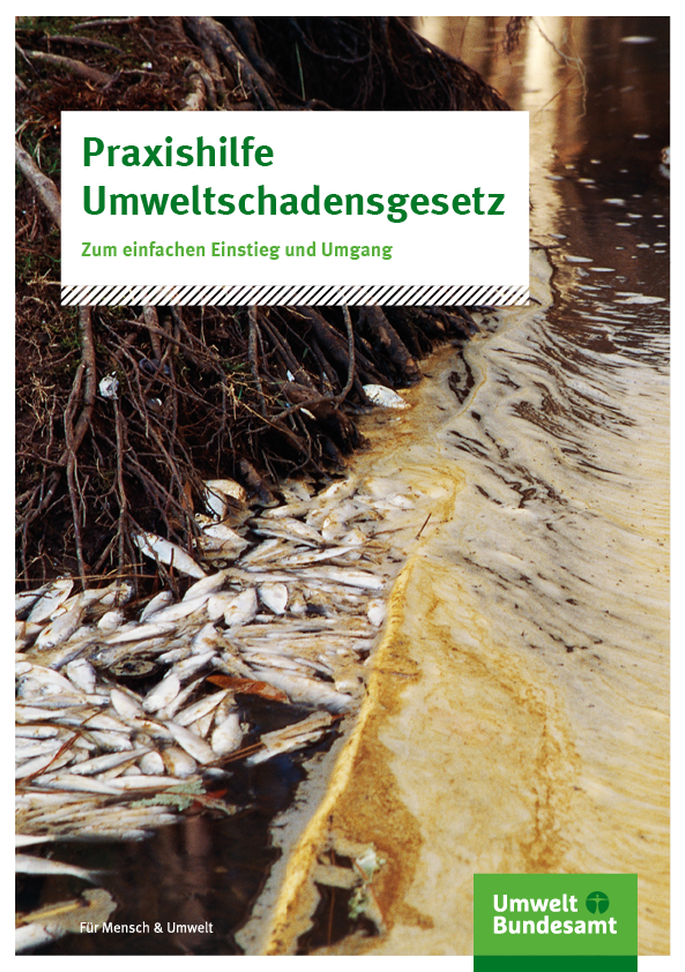 tote Fische treiben auf einem Gewässer mit gelbem Schaum