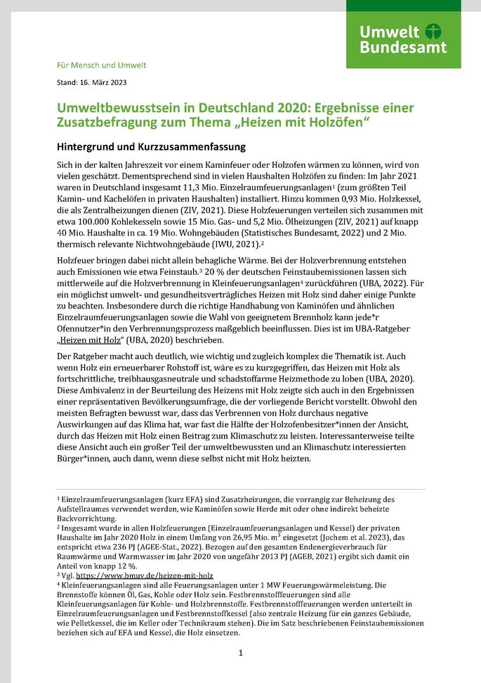 Cover des Factsheets "Umweltbewusstsein in Deutschland 2020: Ergebnisse einer Zusatzbefragung zum Thema „Heizen mit Holzöfen“