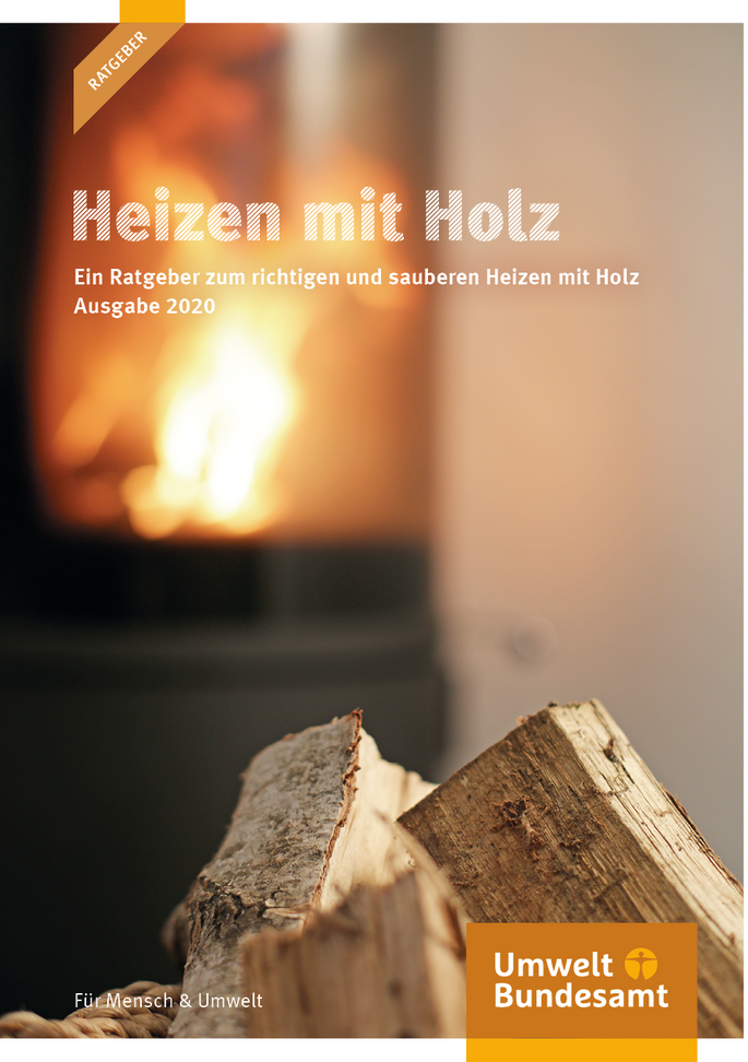 Cover Heizen mit Holz
