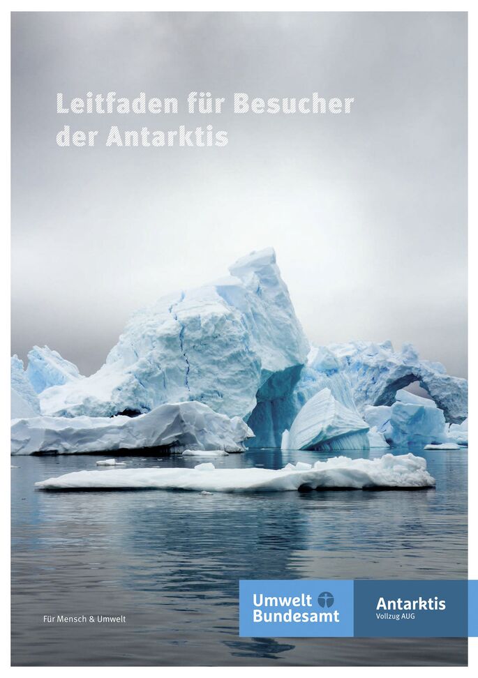 Zwei Pinuine im Schnee