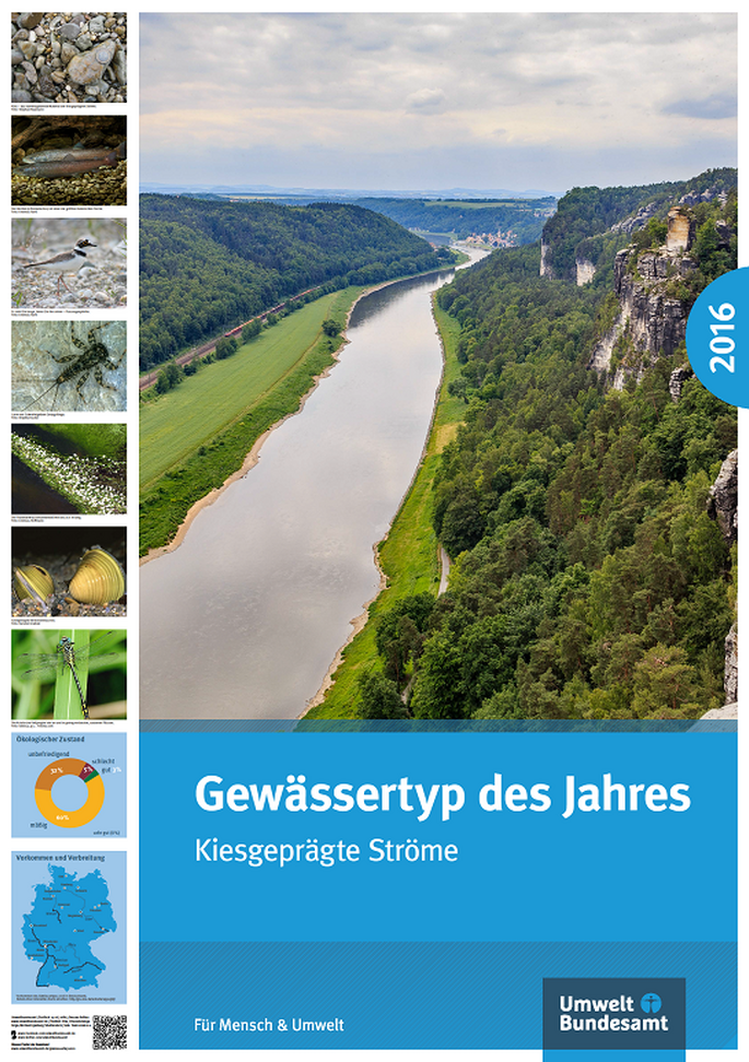 Cover Plakat Gewässertyp des Jahres 2016