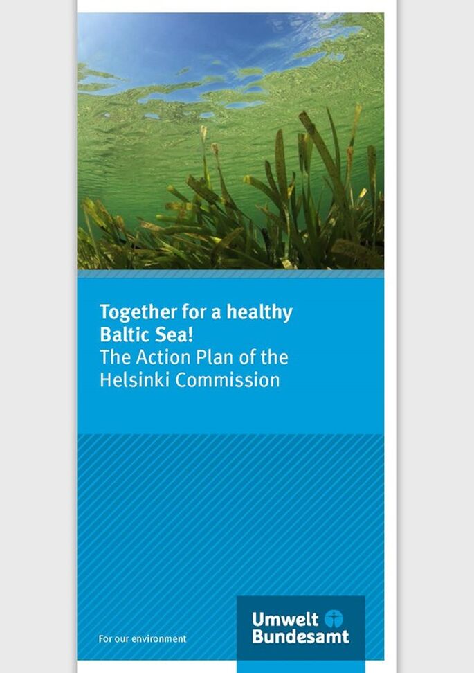 Underwater shot with sea gras and clear water