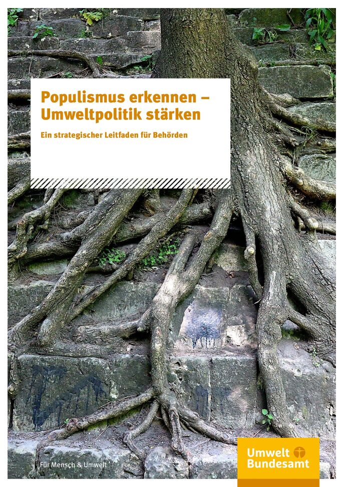 Baum wächst über Steintreppe