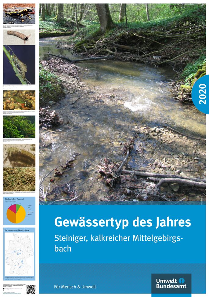 Cover Poster Gewässertyp des Jahres 2020