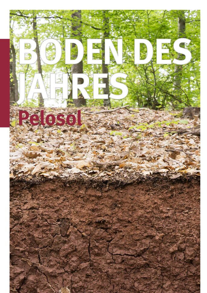 Bodenprofil Pelosol