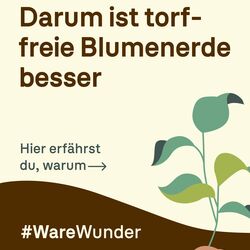 Grafik mit der Aufschrift „Darum ist torffreie Blumenerde besser“ und einer stilisierten Pflanze auf beigem Hintergrund.